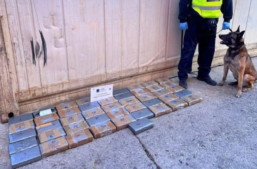  Πειραιάς: Βρέθηκε κοκαΐνη αξίας 2,8 εκατ. ευρώ σε container με μπανάνες (vid)