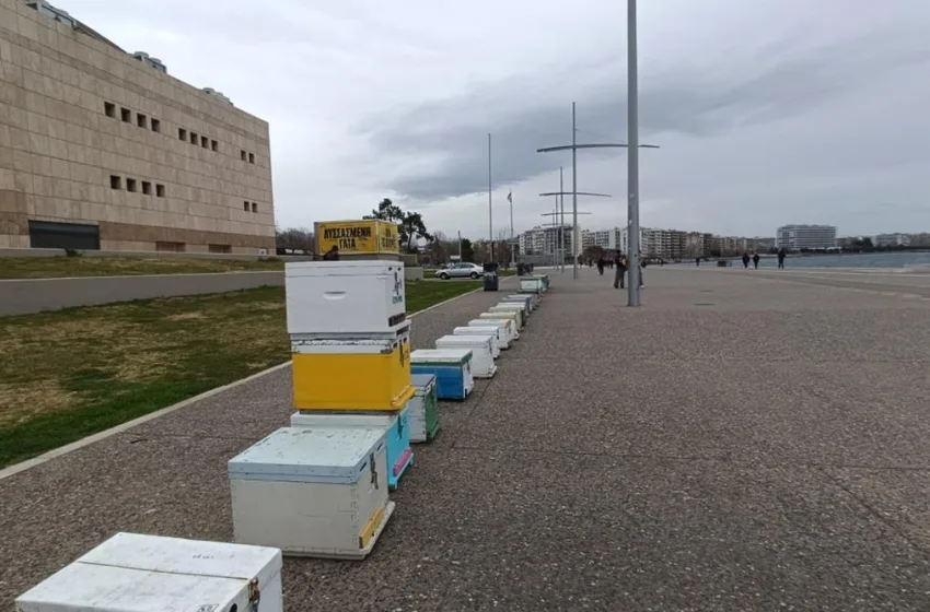  Θεσσαλονίκη: Διαμαρτυρία μελισσοπαραγωγών στον Λευκό Πύργο (vid)