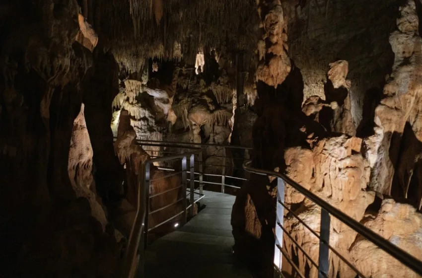  Χαλκιδική: Ανοίγει μετα από 5 χρόνια το σπήλαιο των Πετραλώνων – ”Το εντυπωσιακό Σπίτι του Αρχανθρώπου”