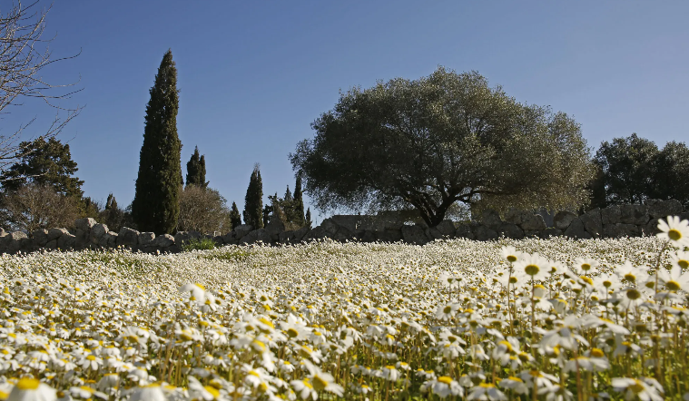  Απόδραση στο Ιόνιο και τον Αμβρακικό