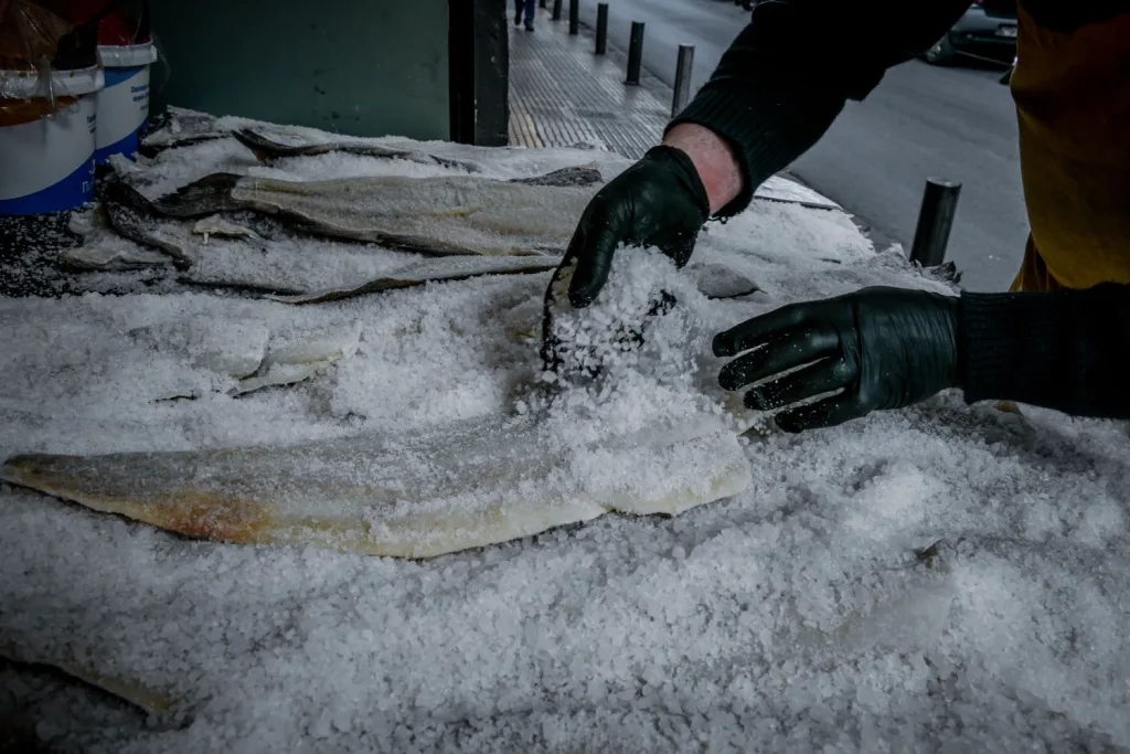 μπακαλιάρος