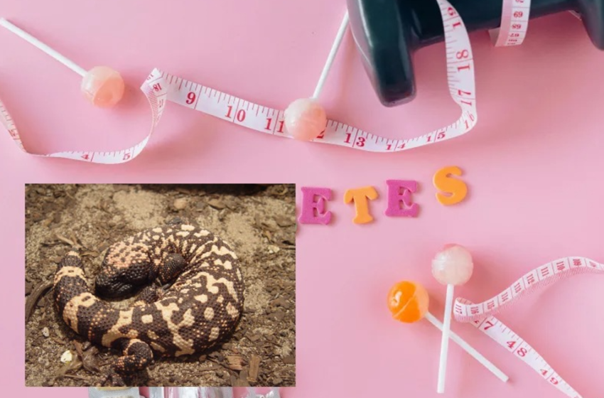  Πώς το… Gila Monster προκάλεσε φρενίτιδα με φάρμακα κατά της παχυσαρκίας που θεραπεύουν δεκάδες ασθένειες