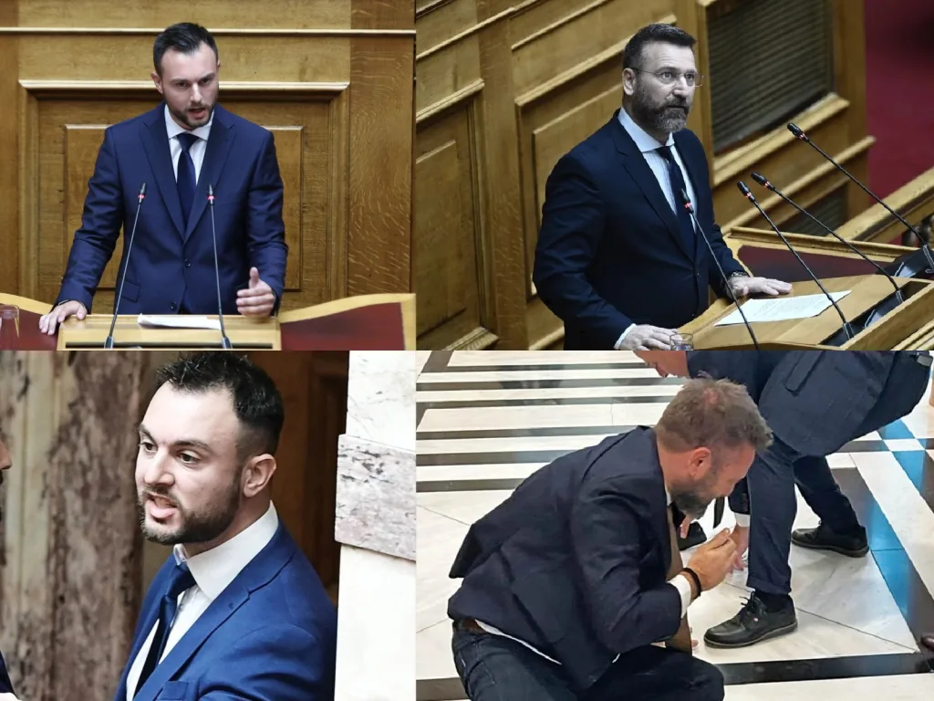 floros grammenos ksylo vouli 1