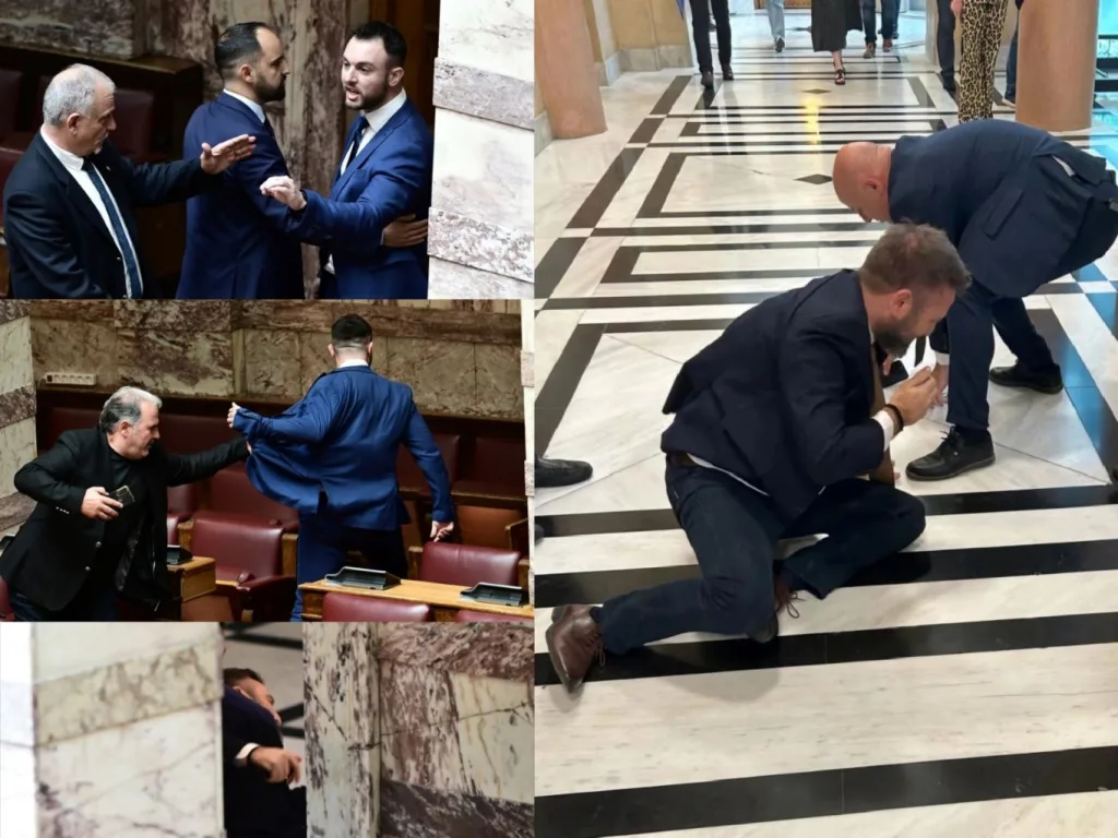 floros grammenos ksylo vouli