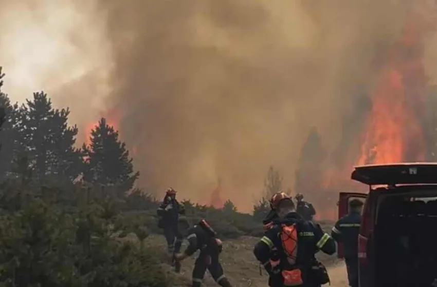  Πιέρια Όρη/Ανεξέλεγκτη φωτιά:Καίγεται παρθένο δάσος και καταφύγιο άγριας ζωής (vid)