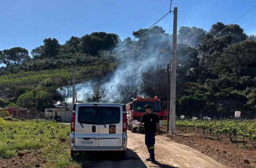  Βραυρώνα: Υπό μερικό έλεγχο η φωτιά-Συναγερμός σε έξι περιφέρειες-Ελλείψεις ανέδειξε η πυρκαγιά στην Ιεράπετρα