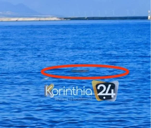  Κόρινθος: Βρέθηκε πτώμα στην παραλία του Αγ. Νικολάου