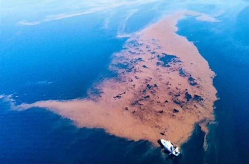  Παγασητικός: Από τα μπάζα της κακοκαιρίας Daniel δημιουργήθηκε νησίδα