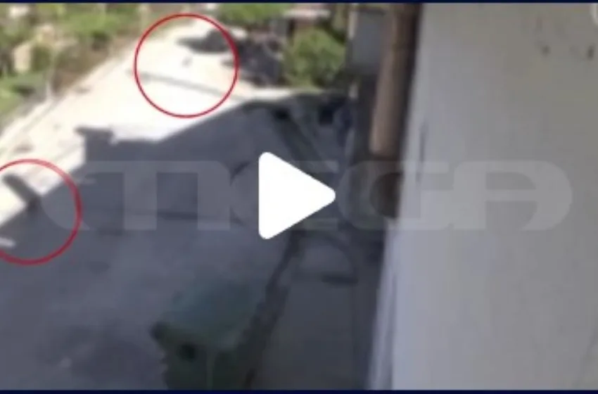  Πρέβεζα: Βίντεο ντοκουμέντο με άνδρα να πυροβολεί σκύλο εν ψυχρώ