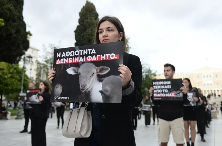  Αυτό το Πάσχα γιόρτασε χωρίς θύματα – Διαμαρτυρία vegan στο Σύνταγμα (εικόνες)