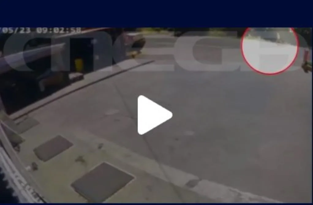 kriti 17xroni video jpg