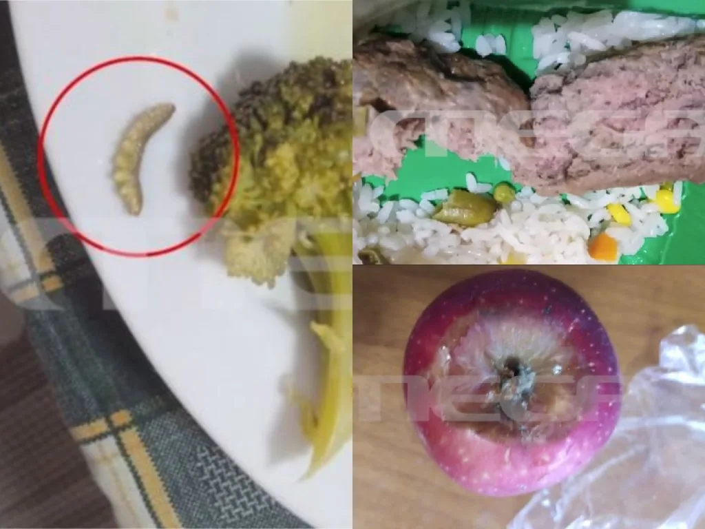 lamia sxolika geumata skoulikia sapia frouta eikones video