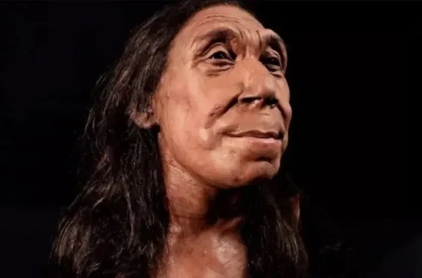  Αυτό είναι το πρόσωπο μιας γυναίκας Νεάντερταλ που έζησε πριν από 75.000 χρόνια -Πώς αποκαλύφθηκε -Το ντοκιμαντέρ του Netflix