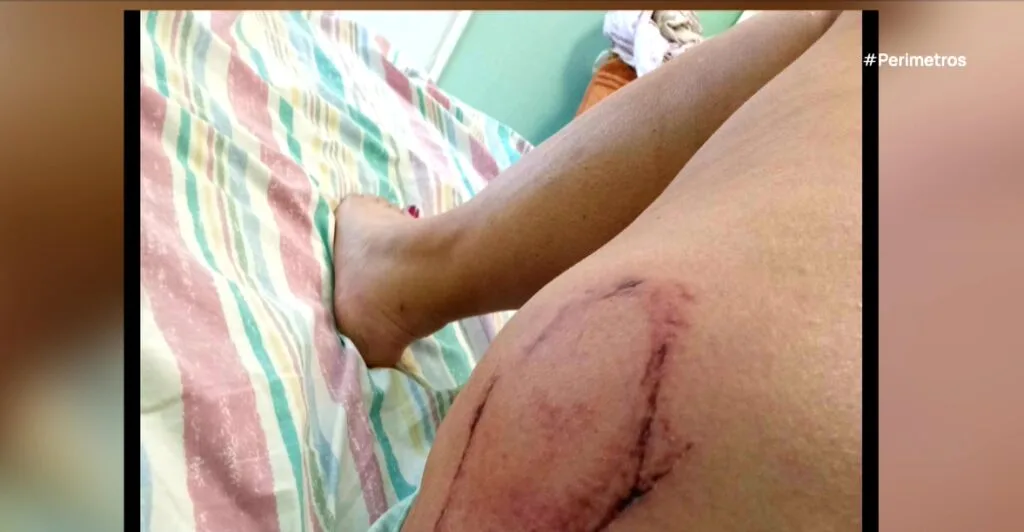 1 xelon 1024x532 1 jpg