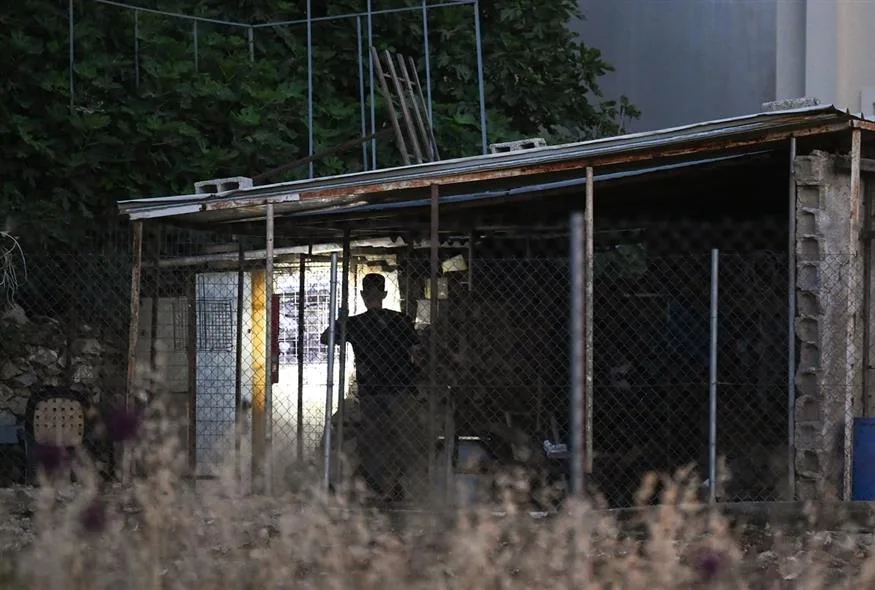 dolofonia dionysos jpg