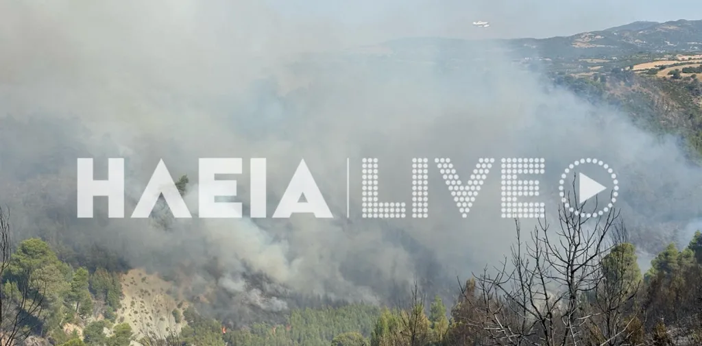 ileia fotia anazopirosi