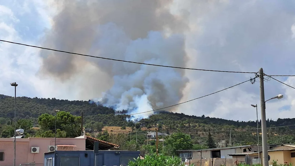 449379650 1195471724998630 14158123918034359 n