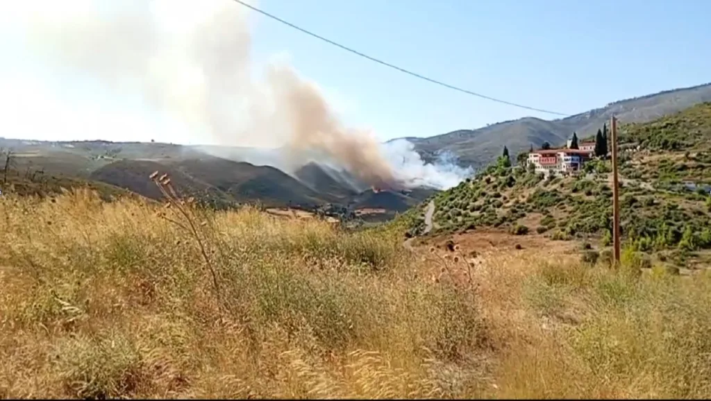 fotia evia kontodespoti