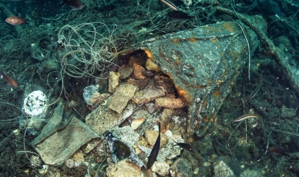 vithos 1024x606 1 jpg