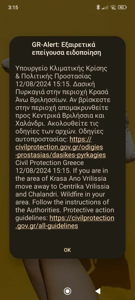 453482026 1363725121228044 7963785207145813823 n