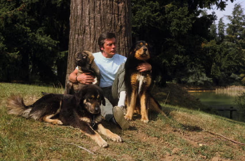  Σάλος με την τελευταία επιθυμία Ντελόν- Έβγαλε στον δρόμο τους ακτιβιστές