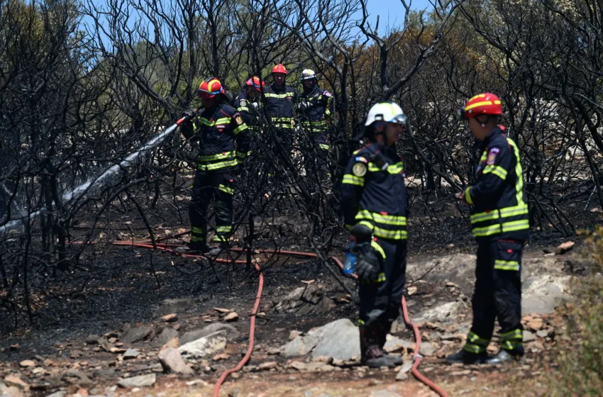  Κιλκίς: Υπό μερικό έλεγχο η πυρκαγιά στις Μουριές- Διάσπαρτες εστίες στο Πευκόδασος