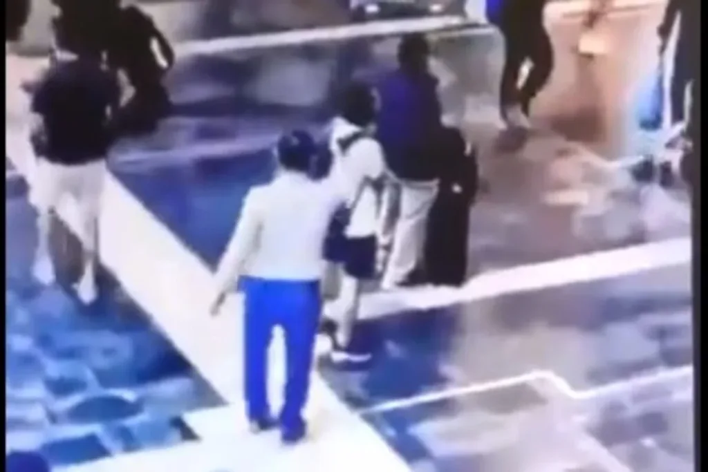 germania dolofonia ektelesi video tourkos frankfourti