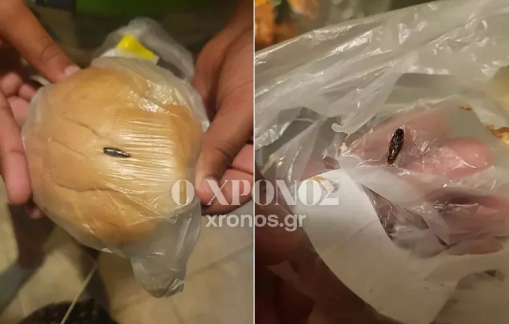 komotini katsarida sxolika gevmata