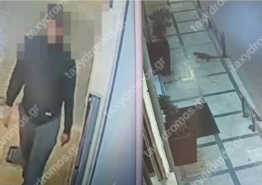 dolofonos adespoton jpg