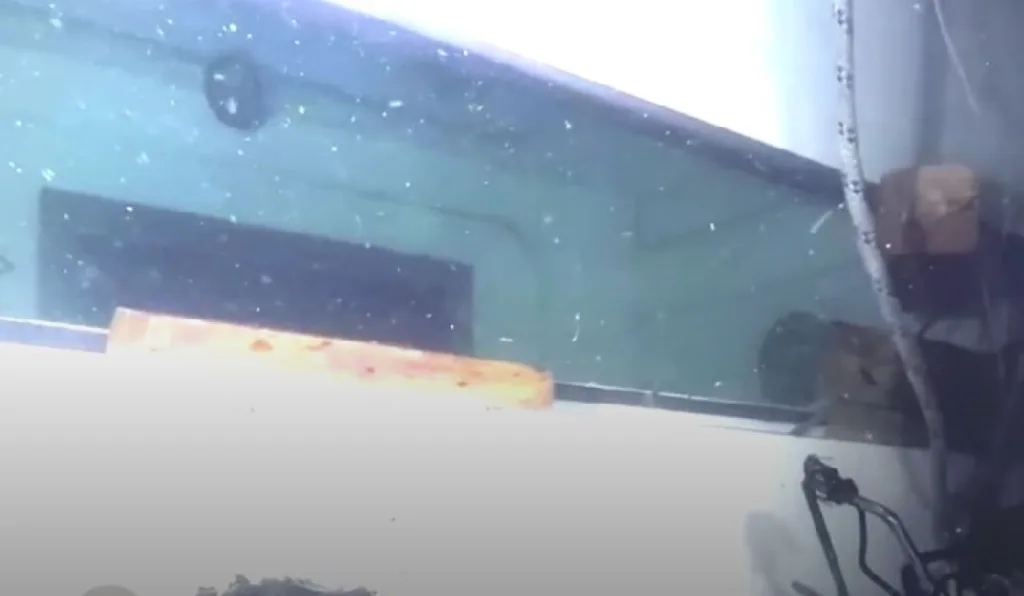 navagio bayesian dytes video