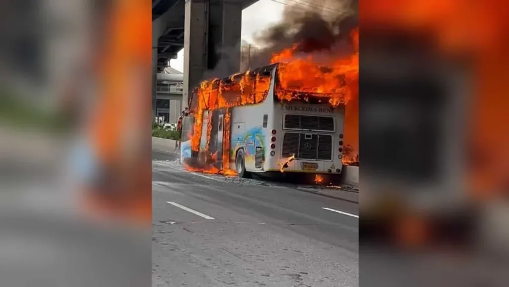 tailandi leoforeio nekroi fotia paidia