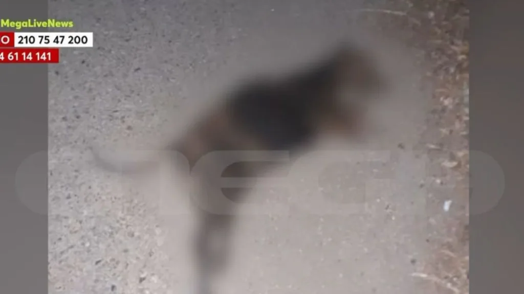 ileia ktinodia nekra skylia