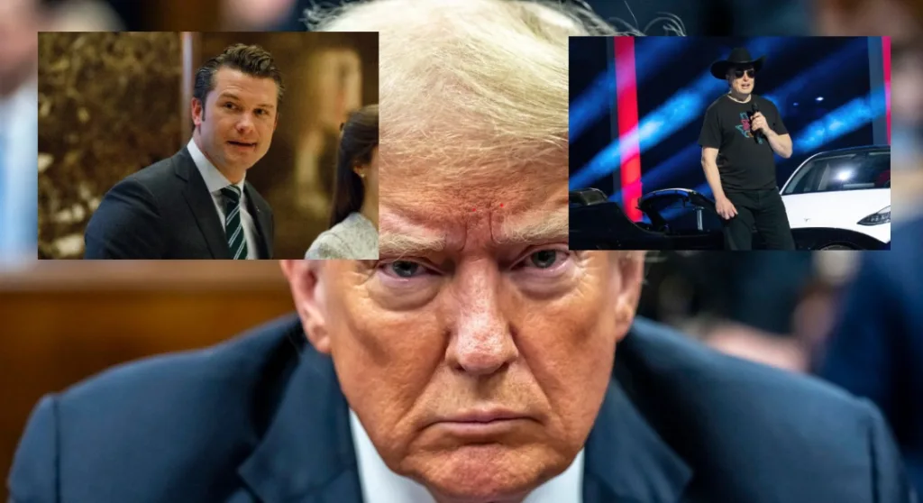 musk hegseth trump