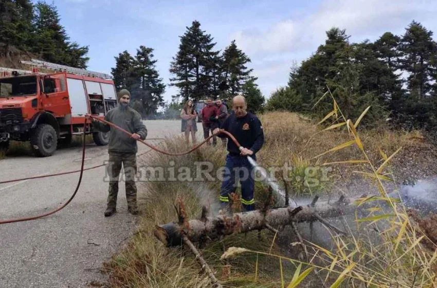  ΔΑΕΕ :Τα δίκτυα ηλεκτροδότησης ευθύνονται για το 80% των καμένων εκτάσεων το φετινό καλοκαίρι