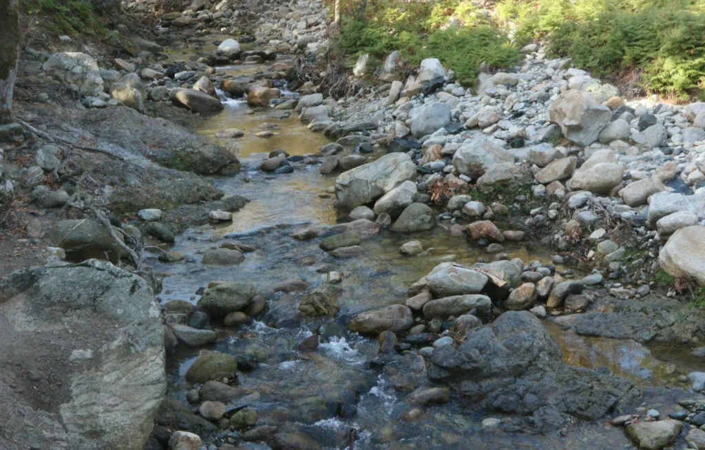 Στιγμιότυπο 2025 02 19 12.26.36 μ.μ