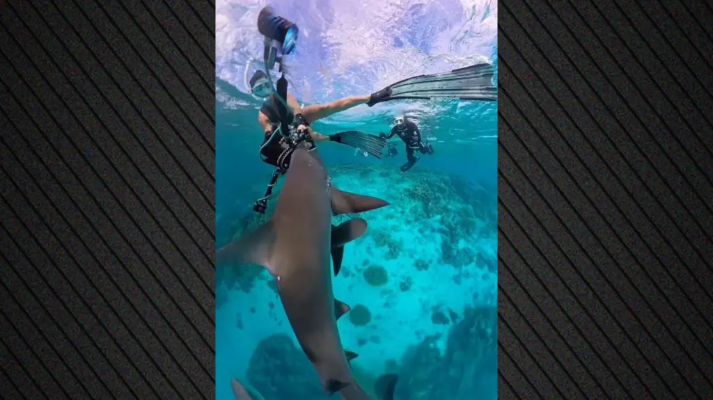 australia epithesi dytes