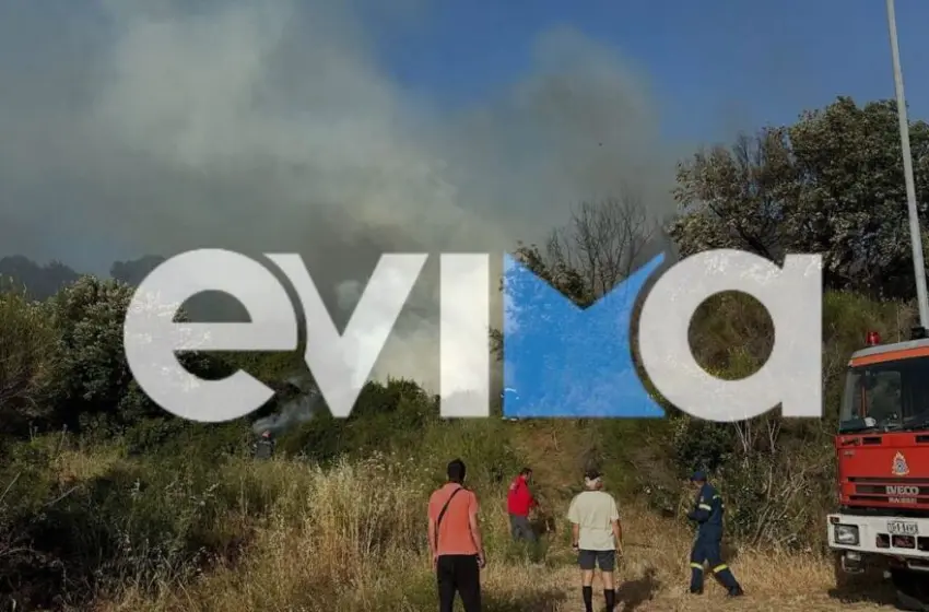  Οριοθετήθηκε η φωτιά στην Εύβοια-Σε επιφυλακή η πυροσβεστική για αναζωπυρώσεις(εικόνες,vid)