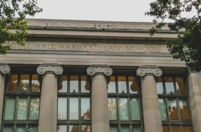 Photo by Czapp Árpád on Pexels