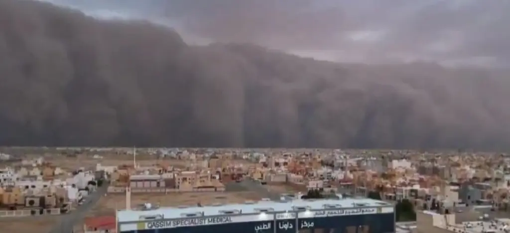 saoudiki aravia ammothyella