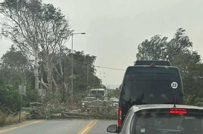 δδδδδδδδδδδδ 1