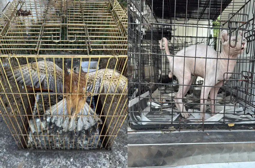 19062025emporiazwwn1