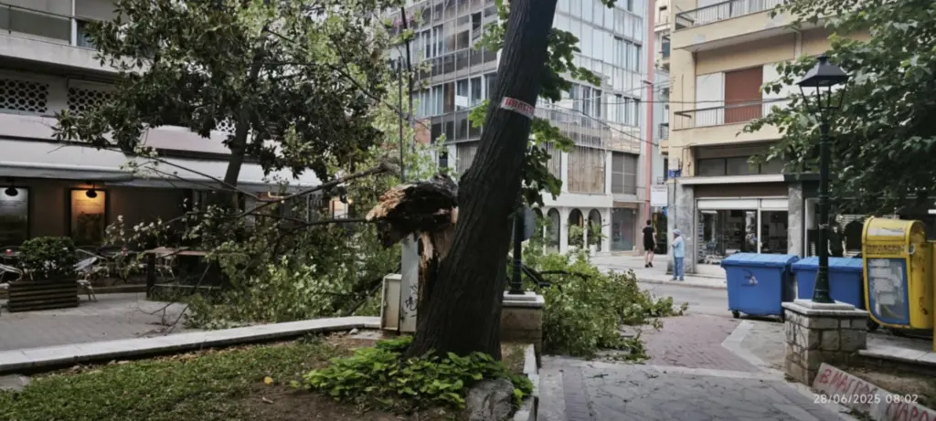 Βόλος: Ξαφνική ανεμοθύελλα ξερίζωσε δέντρα και προκάλεσε ζημιές σε οχήματα 5 3 14