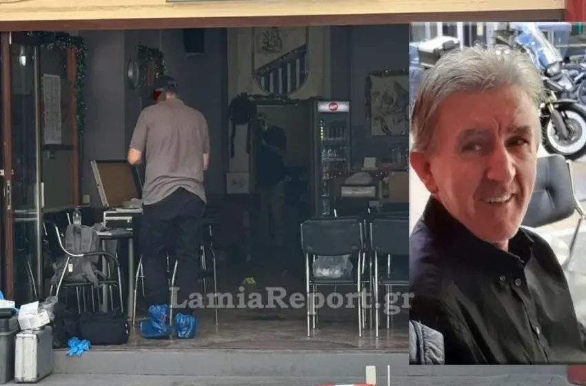 dolofoinia lamia new.jpg