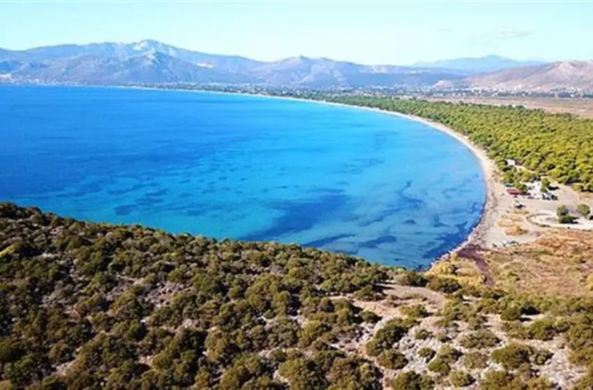 ethniko parko sxinia