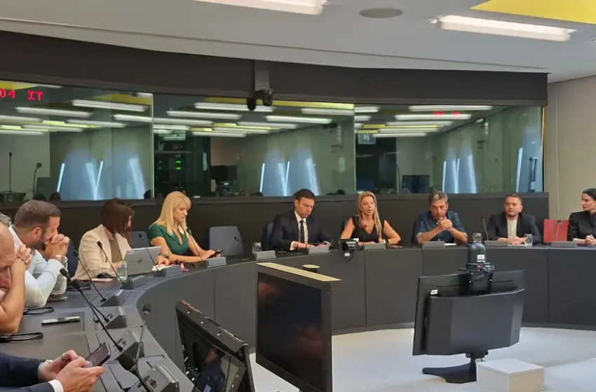  Στρασβούργο: Νέες καταγγελίες Καρυστιανού ότι δέχτηκε απειλές