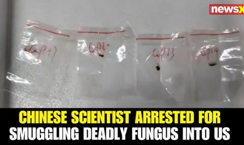  Δύο Κινέζοι προσπάθησαν να εισάγουν επικίνδυνο μύκητα στις ΗΠΑ