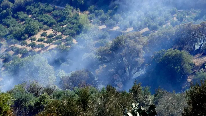  Σε ύφεση η πυρκαγιά στις Κάτω Ασίτες Ηρακλείου