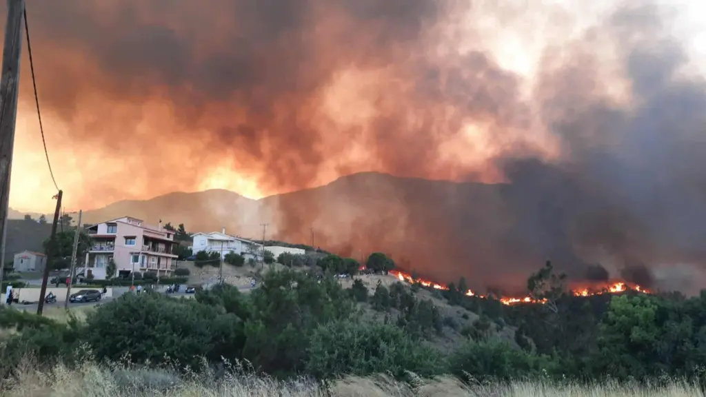 Χίος: Μάχη με τις αναζωπυρώσεις-Κάηκαν πάνω από 60.000 στρέμματα-Σχέδιο εμπρησμών βλέπουν οι αρχές 6 xios fotia
