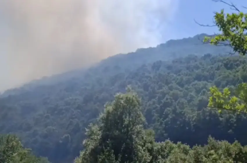  Φωτιά στην Αιτωλοακαρνανία