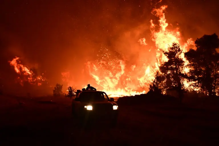 Ωρωπός: Σε ύφεση τα πύρινα μέτωπα- Μάχη με αναζωπυρώσεις 4 image 10